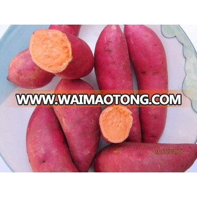 Frozen Potato French Fries Sweet Potato Fries
