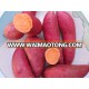 Frozen Potato French Fries Sweet Potato Fries